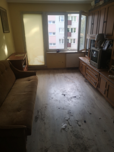 realizacja - salon po sprzątaniu